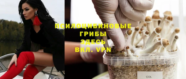 MDMA Богородск