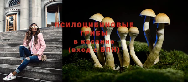 амфетамин Богданович