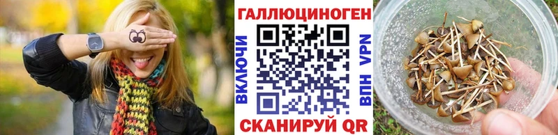 KRAKEN рабочий сайт  Пионерский  Галлюциногенные грибы мицелий 
